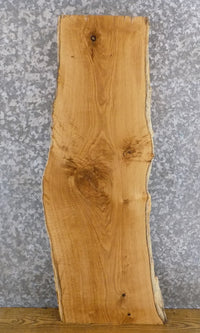 Thumbnail for Live Edge White Oak Rustic Sofa/Coffee Table Top Wood Slab 40067