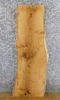 Thumbnail for Live Edge White Oak Rustic Sofa/Coffee Table Top Wood Slab 40067