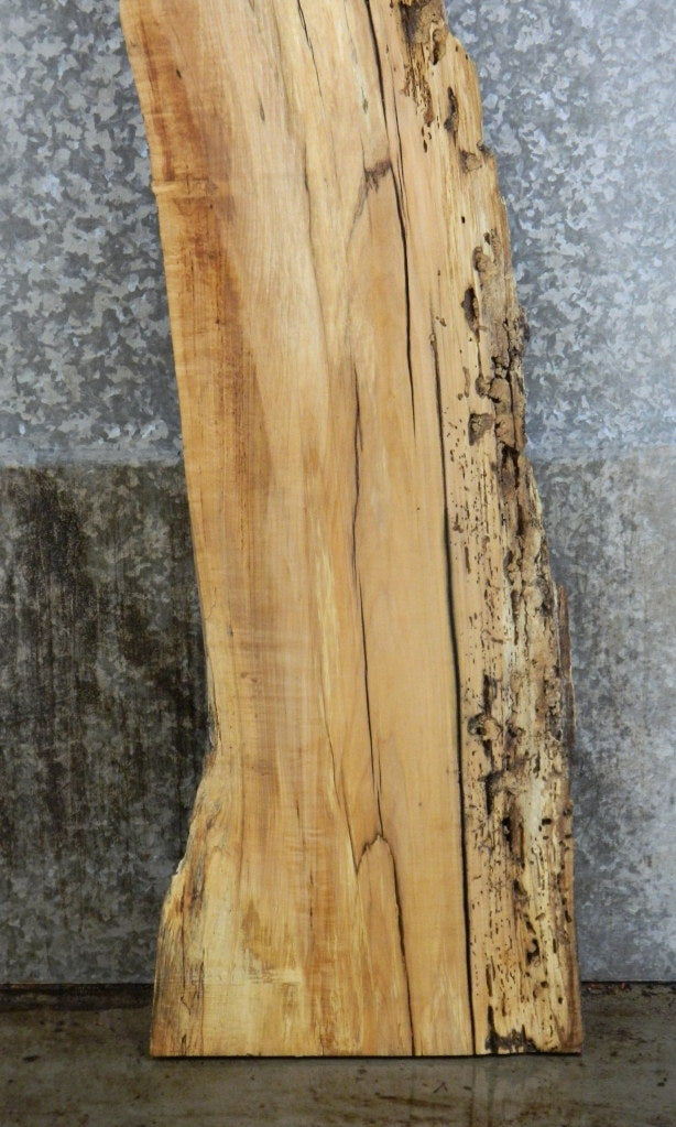 Live Edge Spalted Maple Sofa Table Top Wood Slab CLOSEOUT 40570