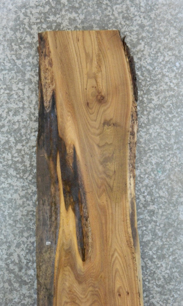 Natural Edge Rustic Elm Headboard Wood Slab CLOSEOUT 40713