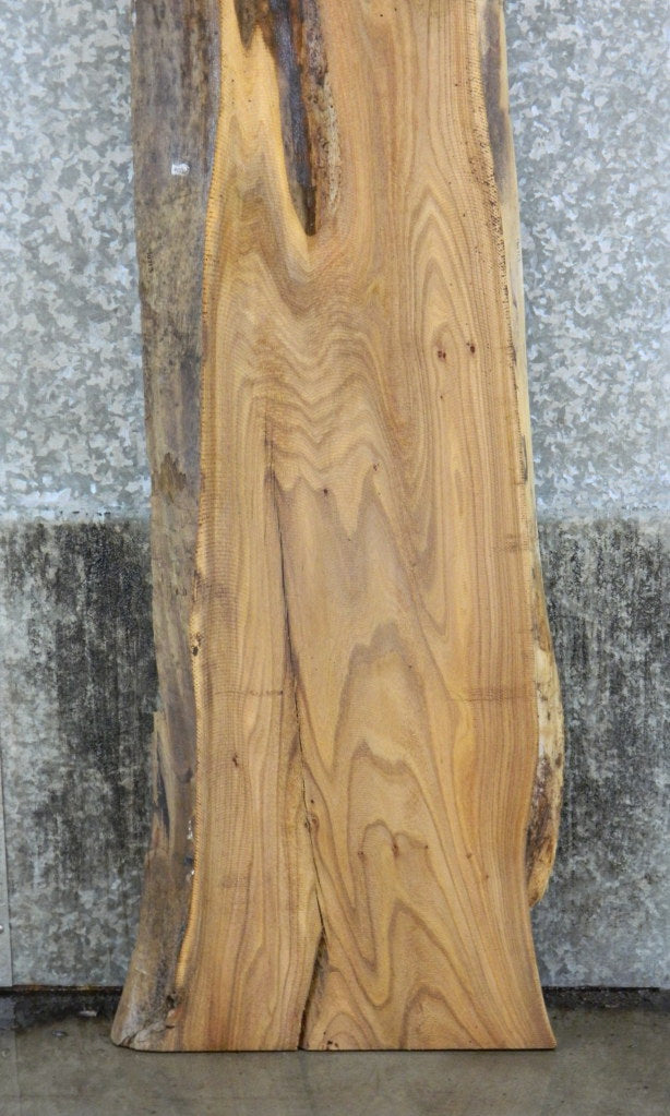 Natural Edge Rustic Elm Headboard Wood Slab CLOSEOUT 40713