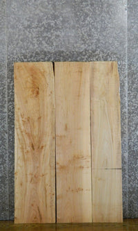 Thumbnail for 3- Maple Kiln Dried Salvaged Lumber Pack/Craft Boards CLOSEOUT 41140
