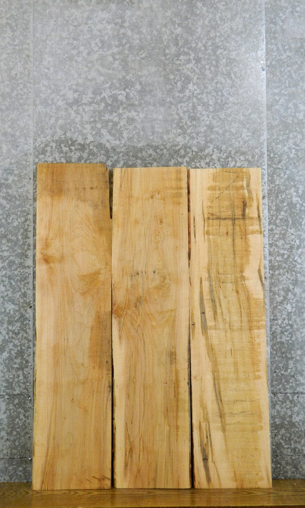 3- Kiln Dried Rustic Ambrosia Maple Lumber Boards CLOSEOUT 41435