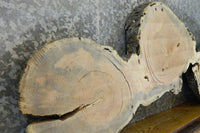 Thumbnail for Live Edge Locust Oval Cut Sofa Table Top Slab CLOSEOUT 42000