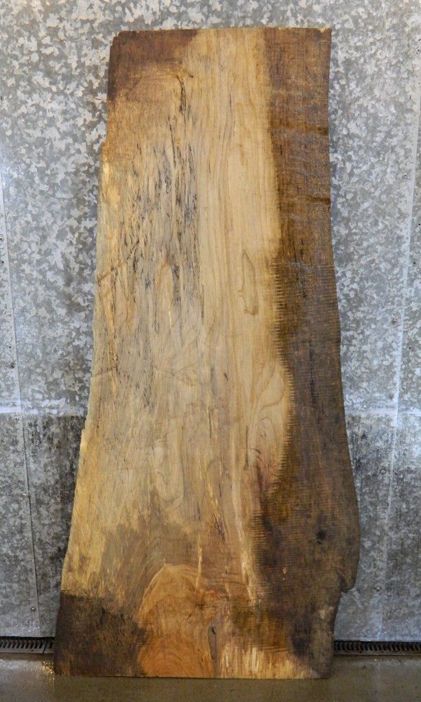 Live Edge Spalted Maple Desk Top Wood Slab CLOSEOUT 42021