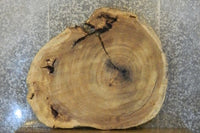 Thumbnail for Round Cut Natural Edge Cottonwood Coffee Table CLOSEOUT 42165