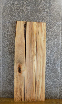 Thumbnail for 3- Rustic Maple Kiln Dried Lumber Boards/Wall Shelf Slabs 43140