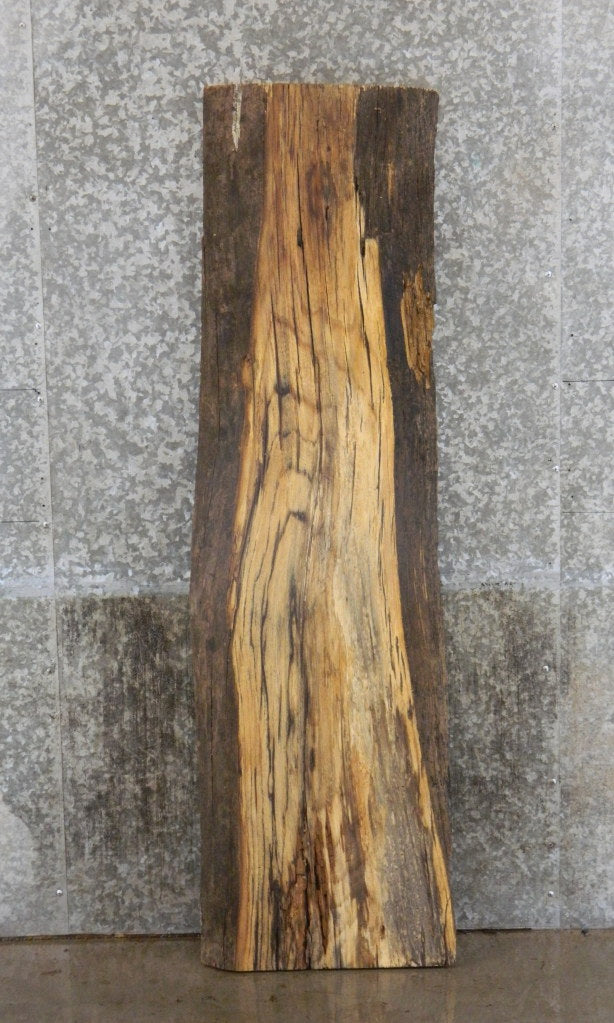 Live Edge Hackberry Coffee/Sofa Table Top Wood Slab CLOSEOUT 4521