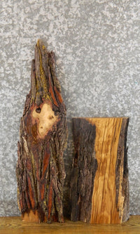 Thumbnail for 2- Bark White Oak Rustic Craft Pack/Taxidermy Bases CLOSEOUT 4771-4772