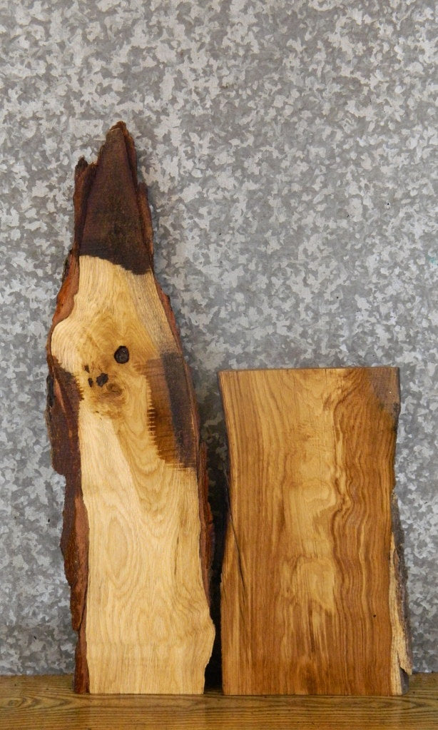 2- Bark White Oak Rustic Craft Pack/Taxidermy Bases CLOSEOUT 4771-4772