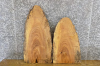 Thumbnail for 2- DIY Live Edge Rustic Ash Charcuterie Boards/Craft Pack Slabs 5005-5006