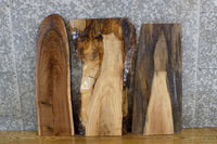 Thumbnail for 3- DIY Live Edge Black Walnut Craft Pack/Charcuterie Boards 5015-5017