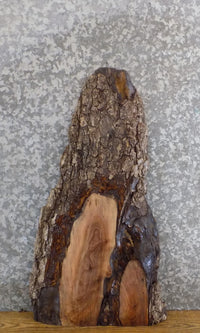 Thumbnail for Natural Edge Bark Reclaimed Black Walnut End Table Top Slab 5346