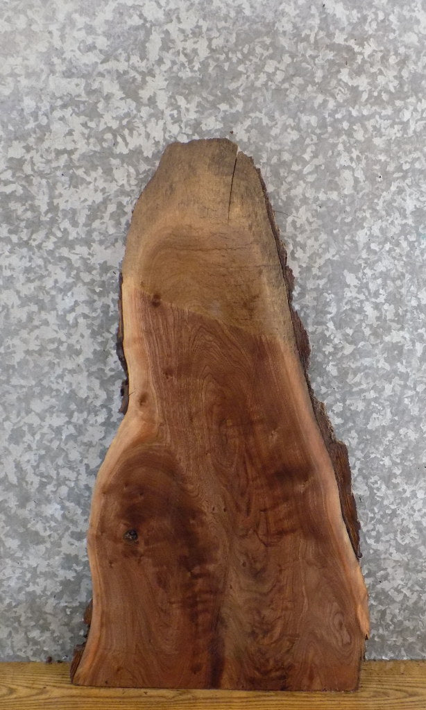 Natural Edge Bark Reclaimed Black Walnut End Table Top Slab 5346