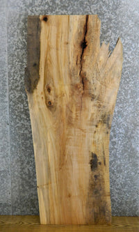 Thumbnail for Spalted Maple Live Edge Desk Top Wood Slab CLOSEOUT 543
