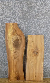 Thumbnail for 2- DIY Salvaged Live Edge Elm Charcuterie Boards/Craft Pack Slabs 5516-5517