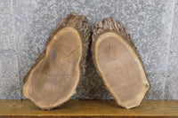 Thumbnail for 2- Oval Cut Black Walnut Live Edge Bark Centerpiece Wood Slabs 6007-6008