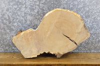 Thumbnail for Oval Cut Live Edge White Oak DIY Charcuterie Board/Slab 6026