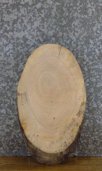 Thumbnail for Natural Edge Oval Cut Ash Serving Tray/DIY Charcuterie Board 6028
