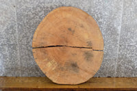 Thumbnail for 2- Live Edge Round Cut Ash End Table Top/Split Board Slab Halves 6061