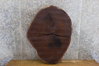 Thumbnail for 2- Rustic Oval Cut Black Walnut Live Edge Split Board Slab Halves 6126