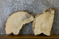 Thumbnail for 2- Oval Cut Spalted Maple Craft Pack Wood Slabs CLOSEOUT 6154-6155