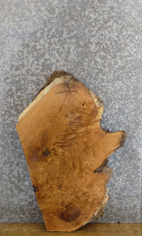 Thumbnail for Rustic Oval Cut White Oak Live Edge Side Table Top Wood Slab 6163