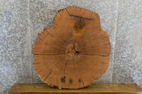 Thumbnail for 2- Rustic Round Cut Live Edge White Oak Split Board Slab Halves 6271