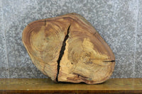 Thumbnail for Live Edge Oval Cut Elm Rustic Epoxy Project CLOSEOUT 6328