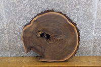 Thumbnail for Natural Edge Bark Black Walnut Round Cut End Table Top Slab 6405