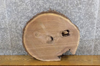 Thumbnail for Natural Edge Bark Black Walnut Round Cut End Table Top Slab 6405