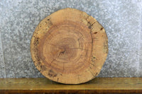 Thumbnail for Round Cut Live Edge Ash End/Entry/Side Table Top Slab CLOSEOUT 6494