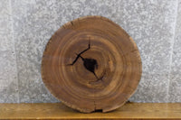 Thumbnail for Reclaimed Round Cut Live Edge Elm Side/End Table Top Slab 6517