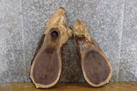 Thumbnail for 2- Oval Cut Live Edge Bark Black Walnut Craft Pack Wood Slabs 6546-6547