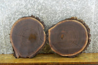 Thumbnail for 2- Round Cut Black Walnut Side Table Top Slabs CLOSEOUT 6901-6902
