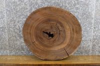 Thumbnail for Live Edge Elm Rustic Round Cut Side/End Table Top Wood Slab 7405