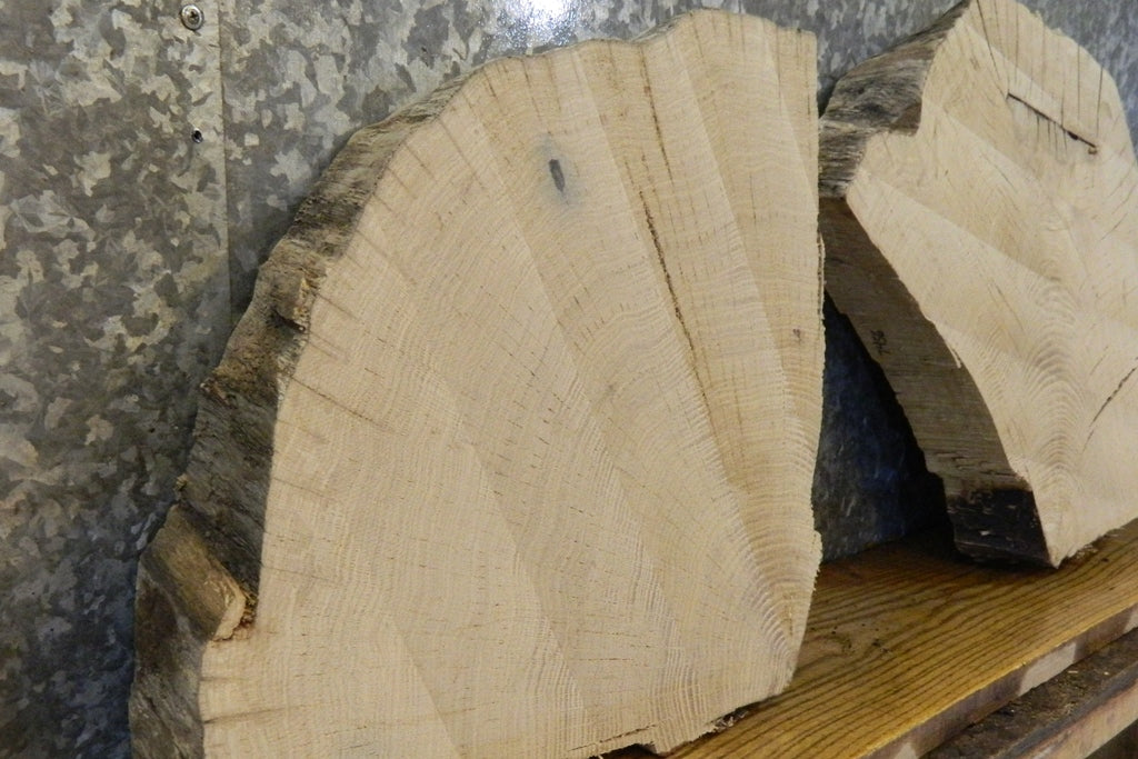 2- Round Cut White Oak Taxidermy Bases CLOSEOUT 7455-7456