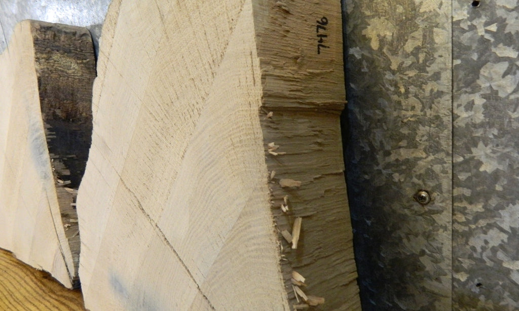 2- Live Edge White Oak Round Cut Craft Pack Wood Slabs CLOSEOUT 7475-7476