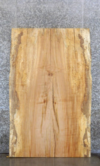 Thumbnail for 2- Maple Partial Live Edge Bookmatched Table Top Slabs CLOSEOUT 793-794