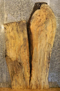 Thumbnail for 2- Natural Edge Spalted Maple Split Board Slab Halves CLOSEOUT 806