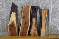 Thumbnail for 4- DIY Live Edge Black Walnut Charcuterie Boards/Craft Pack 8254-8257