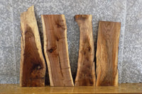 Thumbnail for 4- DIY Live Edge Black Walnut Charcuterie Boards/Craft Pack 8254-8257