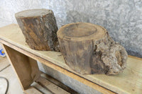 Thumbnail for 2- Black Walnut Live Edge Salvaged Small Logs/Craft Pack Slabs 8654
