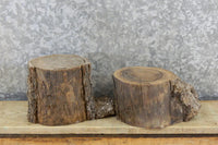 Thumbnail for 2- Black Walnut Live Edge Salvaged Small Logs/Craft Pack Slabs 8654