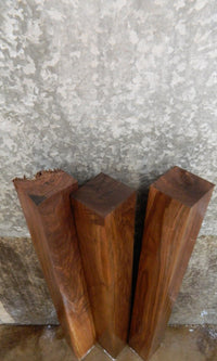 Thumbnail for 3- Rustic Black Walnut Kiln Dried 4x4 Turning Blanks/Blocks 9276